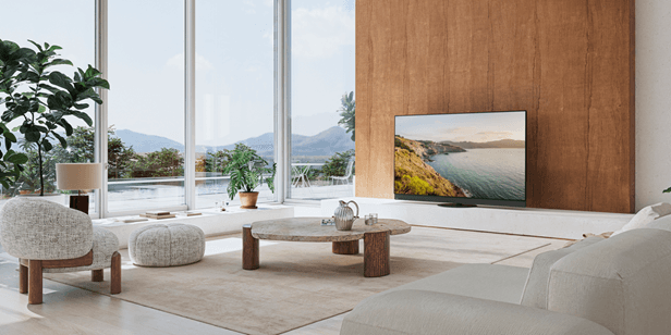 Panasonic Panasonic Z95B